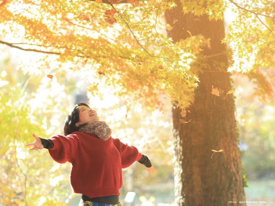 小説家 寒竹泉美